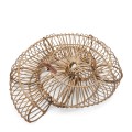 Dekoracja RR 3D Round Seashell Riviera Maison