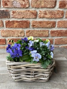 Kwadratowy kosz ratanowy 20cm x 20cm 