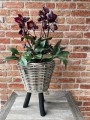 Kosz rattanowy On  Legs Lovely Baskets M Black Drypot