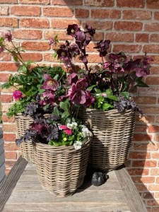 Zestaw 3  koszy ratanowych  