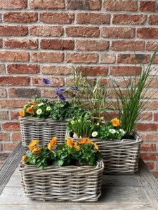 Zestaw 3 prostokątnych  koszy ratanowych  40/33/29cm