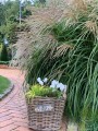 IMG_1808.jpg