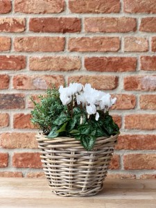 Okrągły  kosz rattanowy 28x18