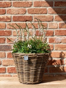 Okrągły  kosz rattanowy 35x25