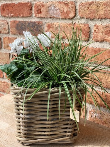 Kwadratowy  kosz ratanowy 21x21cm