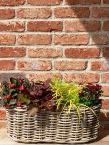 Kosz rattanowy owalny 50x20cm