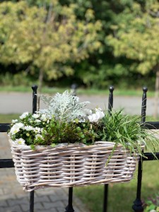 Skrzynka balkonowa rattan bielony 60cm