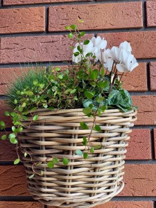 Kosz rattanowy na ścianę Greece S