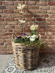 Okrągły kosz  z grubego ratanu fi 50 cm