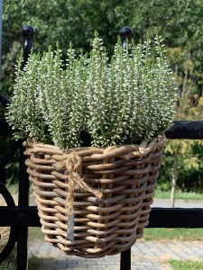 Kosz rattanowy Balcony Round fi 15cm