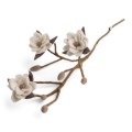 Magnolia  Branch w/white flowers Gry &amp; Sif