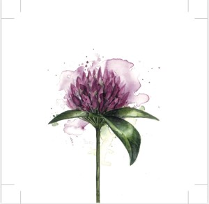 Papierowe serwetki  Sögne clover flower
