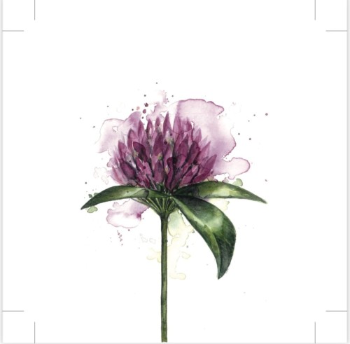 Papierowe serwetki  Sögne clover flower