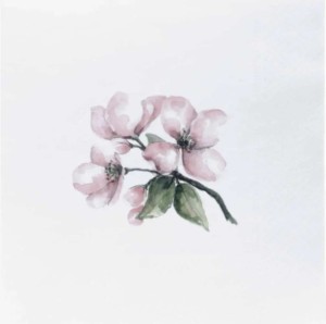 Papierowe serwetki  Sögne summerflower