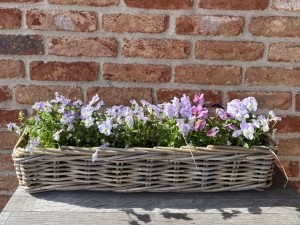 Prostokątny kosz ratanowy 50x14 wąski