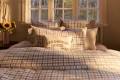 Zestaw pościeli Checked cotton flannel bed set misty blue/white  Lexington