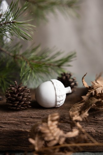 Żołądź Askeby  Storefactory    