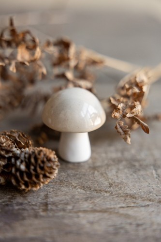 Grzybek Bovik Storefactory Beige