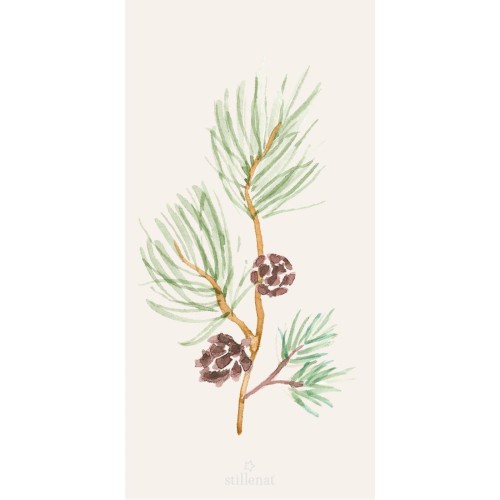 Papierowe serwetki pine branch w/cones  IB Laursen 10 x 20 cm   
