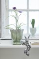 Wazonik Dalupa hyacinths light green  Lene Bjerre