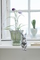 Wazonik Dalupa hyacinths light green  Lene Bjerre