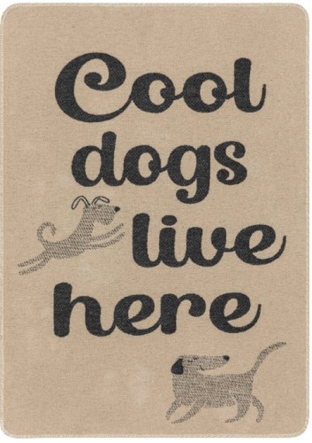 Kocyk dla pieska Cool Dogs Live here 70x90    