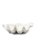 Ozdoba muszla Shell Oceanis Decoration Riviera Maison M