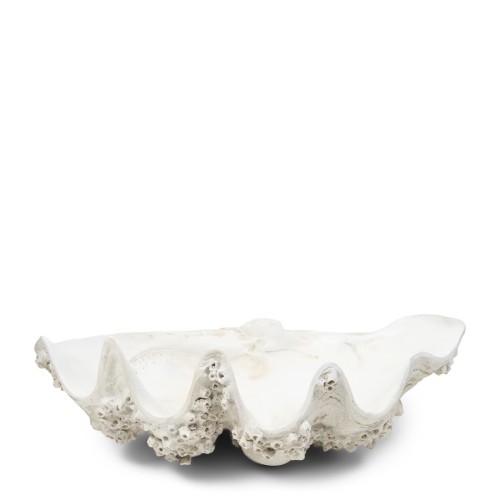 Ozdoba muszla Shell Oceanis Decoration Riviera Maison M     