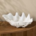 Ozdoba muszla Shell Oceanis Decoration Riviera Maison M