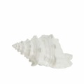 Ozdoba Muszla Shellile white Lene Bjerre H 9.5