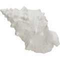 Ozdoba Muszla Shellile white Lene Bjerre H 9.5