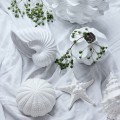 Ozdoba Muszla Shellile white Lene Bjerre H 9.5