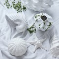 Ozdoba Muszla Shellile white Lene Bjerre H 9.5