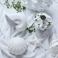 Ozdoba Muszla Shellile white Lene Bjerre H 5.5