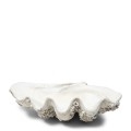 Ozdoba muszla Shell Ocanis Decoration Riviera Maison