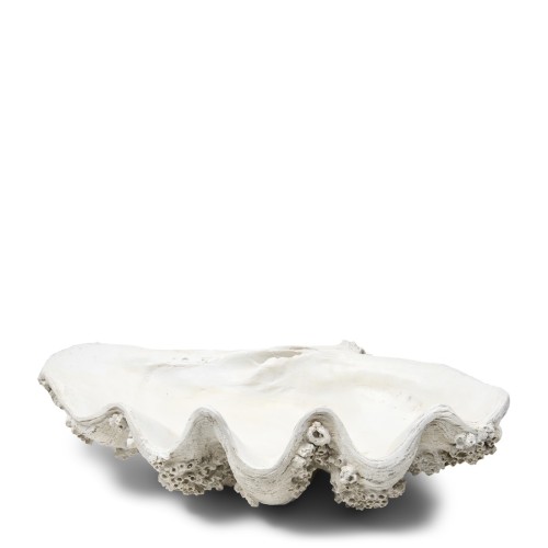 Ozdoba muszla Shell Ocanis Decoration Riviera Maison      