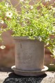 Doniczka Terracotta z podstawka  Ernst  16 x 16