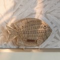 Dekoracja RR Isola Fish Riviera Maison