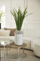 Stoliki kawowe Soho Coffee Table XL S/2 Riviera Maison