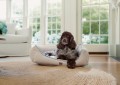 Legowisko dla psa Dog bed in striped organic cotton, beige/white Lexington
