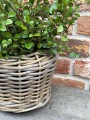 IMG_0477.jpeg