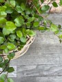 IMG_0478.jpeg