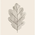 Papierowe serwetki oak leaf forest treasures IB Laursen 12,5x 12,5 cm