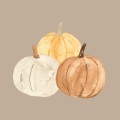 Papierowe serwetki  pumpkins IB Laursen 16,5 x 16,5 cm