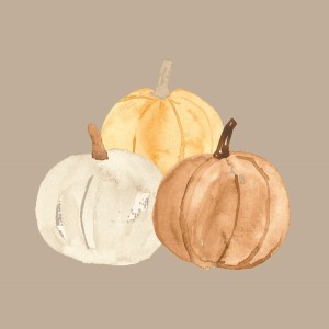 Papierowe serwetki  pumpkins IB Laursen 16,5 x 16,5 cm  