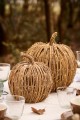 Dynia  Pumpkin  IB Laursen L