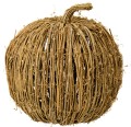 Dynia  Pumpkin  IB Laursen L