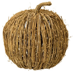  Dynia  Pumpkin  IB Laursen L