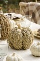 Dynia Deco pumpkin of couch grass  IB Laursen