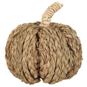  Dynia Deco pumpkin of couch grass  IB Laursen   